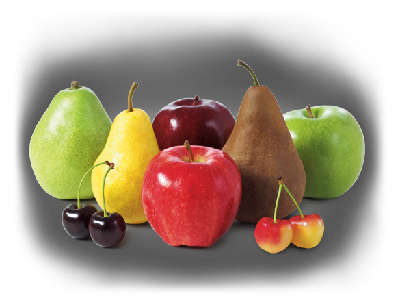 Fruit